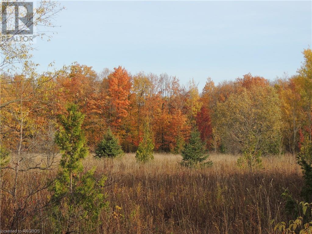 N/A ST ARNAUD STREET, grey highlands, Ontario