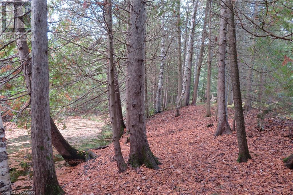 NORBURN ROAD, northern bruce peninsula, Ontario