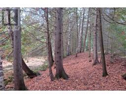 NORBURN ROAD, northern bruce peninsula, Ontario